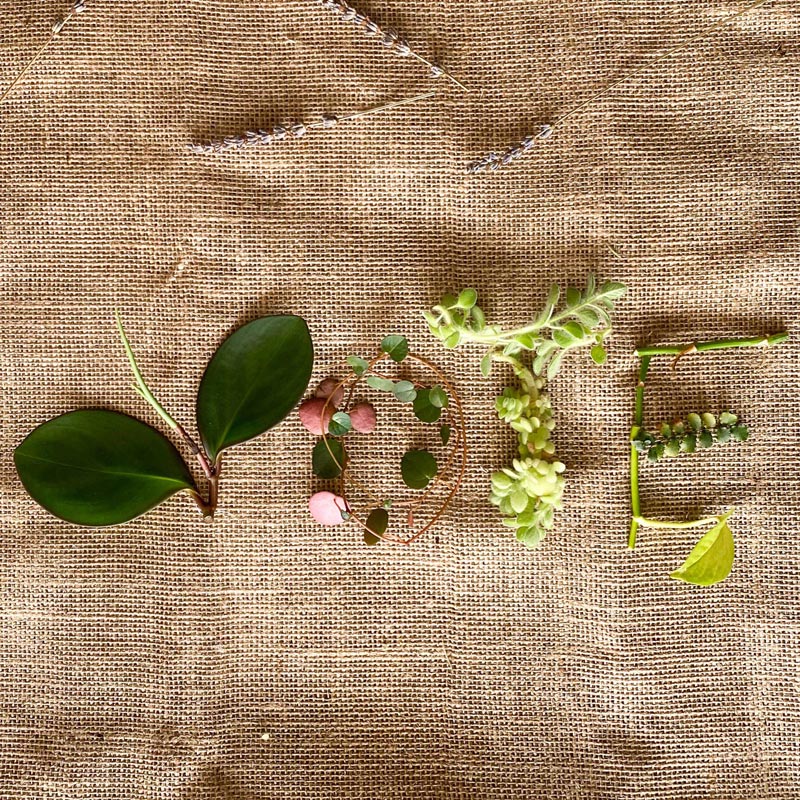 house plant cuttings arranged to spell vote